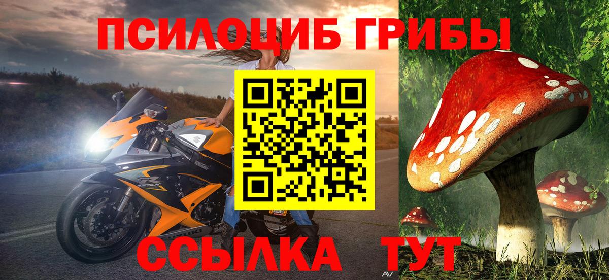 Тавда  Псилоцибиновые грибы Cubensis  Вход с VPN  Псилоцибиновые грибы Magic Shrooms 